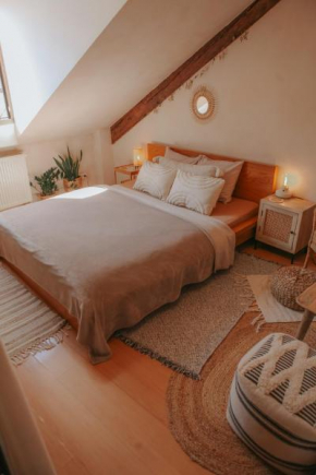 Cozy apartment in the heart of the historic city